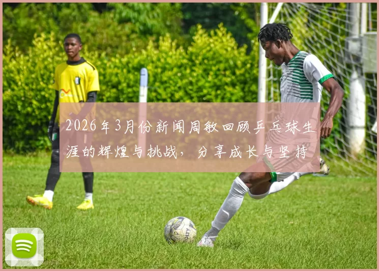 2026年3月份新闻周敏回顾乒乓球生涯的辉煌与挑战，分享成长与坚持的故事